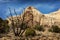 Capitol Reef National Park.