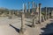 Capitoline Temple at archaeological Site of Volubilis, ancient R