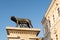 The Capitoline Wolf Statue in Cluj Napoca.