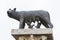 The Capitoline Wolf statue replica from Alba Iulia city