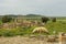 Capitolium atop hill with sheep ovis aries, Thuburbo Majus, Tunisia