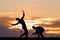 Capoeira, martial art at sunset