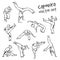 Capoeira set