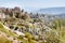 Cappadocia landscape with rock formation and caves