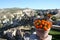 Cappadocia Region and The Flowers