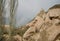 Cappadocia region, local architectural texture. abandoned ruins and pigeon houses..