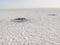 Cappadocia. Turkey. Panorama of the boundless dried salt pink lake.