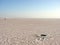 Cappadocia. Turkey. Panorama of the boundless dried salt pink lake.