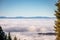 Capping inversion, mountain and trees. Background photo of low clouds in mountains. Winter alpine landscape in Switzerland