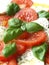 Caprese salad - closeup.