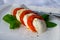 Caprese salad made with fresh soft white italian cheese mozzarella buffalo, green basil, red tomatoes and origano herb