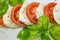 Caprese salad with mozarella cheese, tomatoes and basil