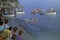 CAPRI, ITALY, 1967 - People attend the athletes` departure in the Capri-Naples cross-country marathon in the waters of Capri