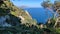 Capri - Panoramica da Via Arco Naturale