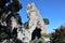 Capri - Sperone roccioso dell`Arco Naturale dal sentiero