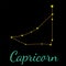 Capricorn vector constellation with stars