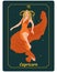 Capricorn zodiac sign, a beautiful magical woman with horns in a fiery dress on a dark background with stars. Poster, illustration