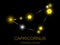 Capricornus constellation. Bright yellow stars in the night sky. A cluster of stars in deep space, the universe. Vector