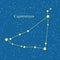 Capricornus Zodiacal Constellation Vector