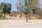 Caprivi, Namibia - August 20, 2016: Poor woman walking on the roadside in the rural Caprivi Strip, the most populated region in Na