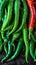 Capsicum bounty Freshly picked green chilies in close up view