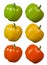 Capsicum Green Yellow Red