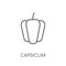 Capsicum linear icon. Modern outline Capsicum logo concept on wh