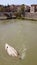 Capsized boat under the bridge, Rome, Italy