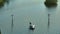 Capsized sunken sailing boat left forsaken on shallow bay waters after hurricane Ian in Manasota, Florida