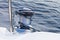 Capstan on the deck of sailing yacht