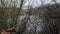 Capstone Park Chatham lake through the bracken