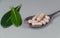 Capsules of plants extract