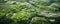 Captivating Aerial View Captures Terraced Rice Fields