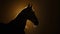 captivating arabian horse shadow on a dark surface, majestic equine elegance