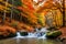 A captivating autumn forest scene, with a winding stream reflecting the fiery foliage and the tranquility of the woods