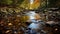 Captivating Autumn River Photography With Schlieren Style