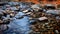 Captivating Autumn River Stream With Colorful Rocks