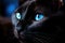 Captivating Black cat blue eyes. Generate Ai
