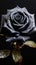 A captivating black rose, a symphony of darkness and delicate allure