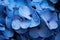 Captivating Blue hydrangea. Generate AI