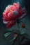 Captivating Canvas: The Beauty of Red Peonies in a Flower Rain Dawn with Amazing Lighting