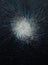 Captivating Chaos: A Closeup of a Supernova Sculpture in a Fiber