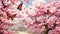 A Captivating Cherry Blossom Garden