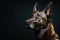 Captivating Close-up of a German Shepherd\\\'s Profile Against a Black Background. Generative AI banner with copy space to