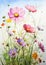 Captivating Cosmos: An Airbrushed Gallery of Field Flowers and S