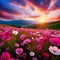 Captivating Cosmos Flower Field at Sunset