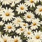 Captivating Daisy Art Floral Pattern