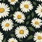 Captivating Daisy Art Floral Pattern
