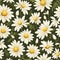 Captivating Daisy Art Floral Pattern