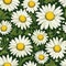 Captivating Daisy Art Seamless Design